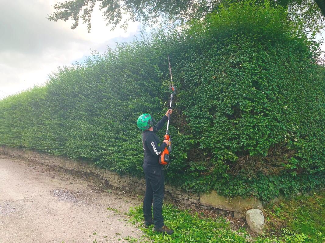 Professional Hedge Trimming Services Lancaster